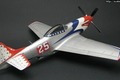 Racing P-51B/C,D 1:48