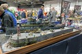 Scale ModelWorld in Telford 2023: Teil 1 