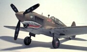 Curtiss P-40 Warhawk 1:48