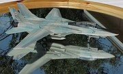Grumman F-14D Tomcat 1:72
