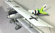 Pfalz D.IIIa Wings