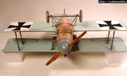 Albatros D.II 1:48