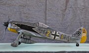 Focke-Wulf Fw 190A-6 1:24