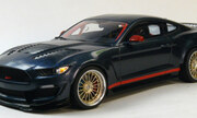 Ford Mustang GT4 1:24