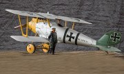 Pfalz D.III 1:24