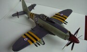 Westland Wyvern 1:32