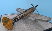 Republic P-47N Thunderbolt 1:72