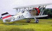 Curtiss Hawk II 1:48