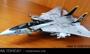 Grumman F-14A Tomcat 1:48