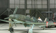 Heinkel He 100 D-1 1:48