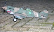 Curtiss P-40B Tomahawk 1:24