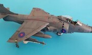 BAe Sea Harrier FRS.1 1:48