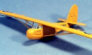 PS-2 Gliders 1:72
