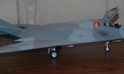 CF-117 Dayhawk 1:48