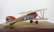 Albatros D.III 253 (Oeffag) 1:48
