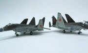 Mikoyan MiG-29K Fulcrum-D 1:350