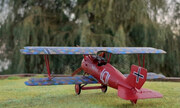 Siemens Schuckert D.III 1:72