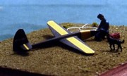 Slingsby Type 19 1:72