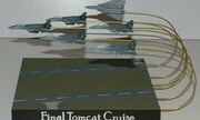 Grumman F-14D Tomcat 1:350