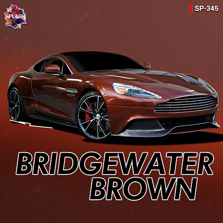 Boxart Aston Martin Bridgewater Brown  Splash Paints