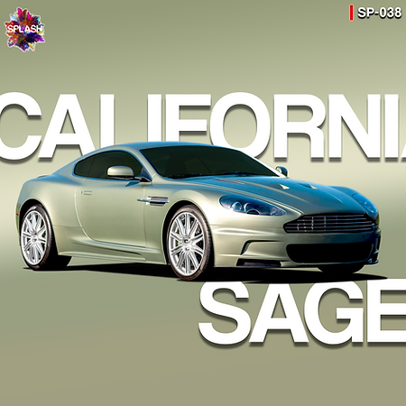 Boxart Aston Martin California Sage  Splash Paints