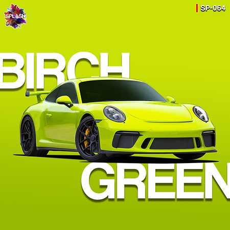Boxart Porsche Birch Green  Splash Paints