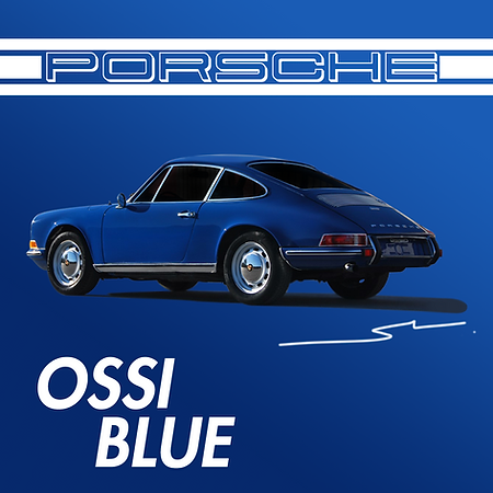 Boxart Porsche Ossi Blue  Splash Paints