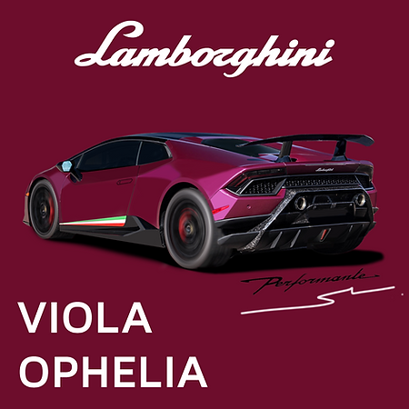 Boxart Lamborghini Viola Ophelia  Splash Paints