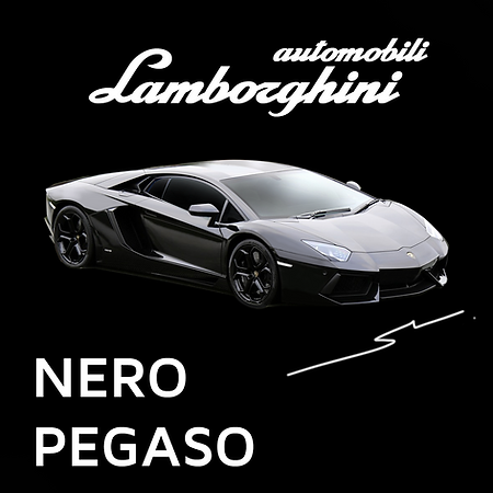Boxart Lamborghini Nero Pegaso  Splash Paints