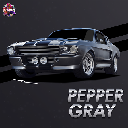 Boxart Ford Pepper Grey  Splash Paints