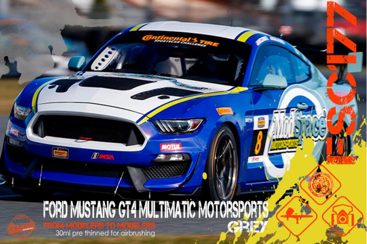 Boxart Ford Mustang GT4 Multimatic Motorsports Gray  Fire Scale Colors