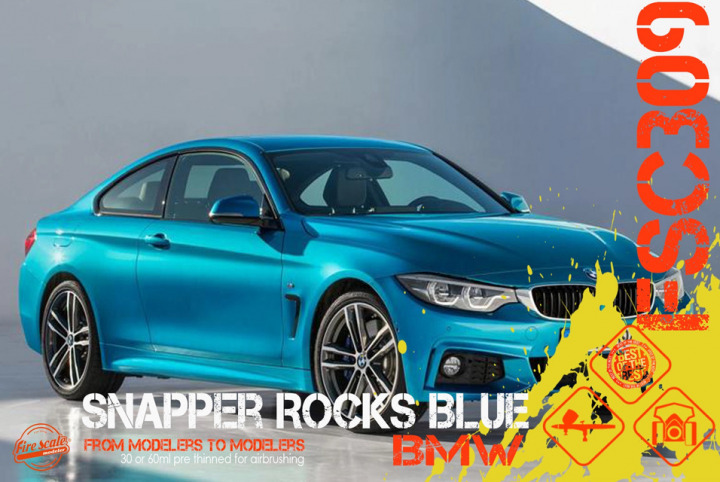 Boxart Snapper Rocks Blue Bmw  Fire Scale Colors