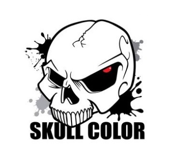 Skull Color Military