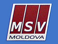 MSV Moldova Logo MSV Moldova Logo