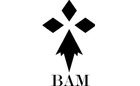 BAM Models Logo