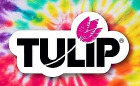 Tulip Color Logo