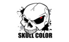 Skull Color Logo