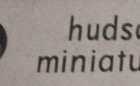 1:16 1904 Stevens Duryea (Hudson Miniatures )