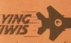 Flying Kiwis Logo