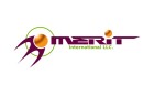 Merit International Logo