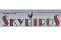 1:72 Spitfire (Skybirds )