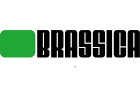 Brassica Logo