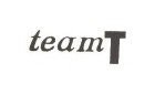 team T Logo