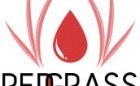Redgrassgames Logo