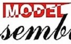 Model Assemblies Logo Model Assemblies Logo