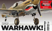 (Phoenix Aviation Modelling Issue 24)
