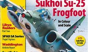 (Model Aircraft Monthly Volume 10 Issue 10)