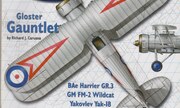 (Scale Aviation Modeller International Volume 09 Issue 09)
