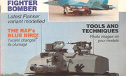 (Scale Models International Volume 25, Issue 293)