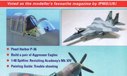 (Scale Aircraft Modelling Volume 29, Issue 2)